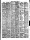 Christchurch Times Saturday 13 April 1889 Page 3