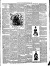 Christchurch Times Saturday 31 January 1891 Page 7