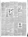 Christchurch Times Saturday 25 April 1891 Page 7