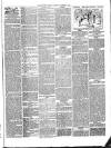 Christchurch Times Saturday 07 January 1893 Page 5