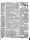Christchurch Times Saturday 01 April 1893 Page 5