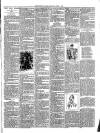 Christchurch Times Saturday 01 April 1893 Page 7