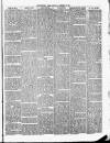 Christchurch Times Saturday 27 January 1894 Page 3