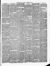 Christchurch Times Saturday 03 February 1894 Page 3