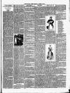 Christchurch Times Saturday 03 March 1894 Page 7