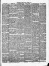 Christchurch Times Saturday 17 March 1894 Page 3