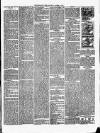 Christchurch Times Saturday 17 March 1894 Page 5