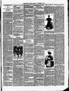Christchurch Times Saturday 17 November 1894 Page 7