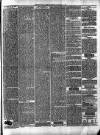 Christchurch Times Saturday 12 January 1895 Page 5