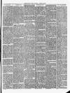 Christchurch Times Saturday 23 March 1895 Page 3