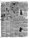 Christchurch Times Saturday 01 January 1898 Page 3