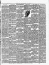 Christchurch Times Saturday 20 April 1901 Page 3