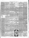 Christchurch Times Saturday 16 November 1901 Page 5
