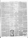 Christchurch Times Saturday 18 January 1902 Page 5