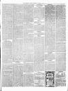 Christchurch Times Saturday 15 March 1902 Page 5