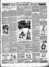 Christchurch Times Saturday 06 September 1902 Page 7