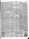 Christchurch Times Saturday 25 March 1905 Page 5