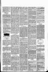 Forres Elgin and Nairn Gazette, Northern Review and Advertiser Friday 05 April 1844 Page 3