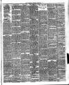 Bournemouth Guardian Saturday 29 March 1884 Page 3
