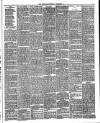 Bournemouth Guardian Saturday 20 December 1884 Page 3