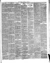 Bournemouth Guardian Saturday 17 January 1885 Page 3