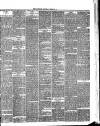 Bournemouth Guardian Saturday 28 February 1885 Page 7