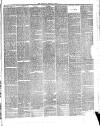 Bournemouth Guardian Saturday 04 April 1885 Page 3