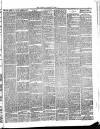 Bournemouth Guardian Saturday 11 April 1885 Page 3