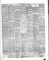Bournemouth Guardian Saturday 23 May 1885 Page 3