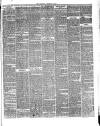 Bournemouth Guardian Saturday 13 June 1885 Page 7