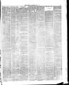 Bournemouth Guardian Saturday 18 July 1885 Page 3