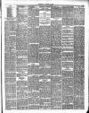 Bournemouth Guardian Saturday 02 March 1889 Page 3