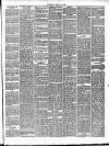 Bournemouth Guardian Saturday 20 April 1889 Page 5