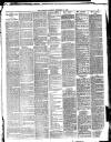 Bournemouth Guardian Saturday 30 December 1893 Page 3
