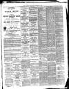 Bournemouth Guardian Saturday 30 December 1893 Page 5