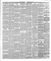 Bournemouth Guardian Saturday 02 February 1901 Page 5