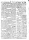 County Advertiser & Herald for Staffordshire and Worcestershire Saturday 05 January 1856 Page 3