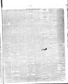 County Advertiser & Herald for Staffordshire and Worcestershire Saturday 11 April 1863 Page 3