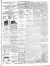 County Advertiser & Herald for Staffordshire and Worcestershire Saturday 15 February 1873 Page 5