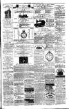 County Advertiser & Herald for Staffordshire and Worcestershire Saturday 21 June 1879 Page 7