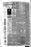 County Advertiser & Herald for Staffordshire and Worcestershire Saturday 10 January 1880 Page 4