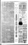 County Advertiser & Herald for Staffordshire and Worcestershire Saturday 20 March 1880 Page 3
