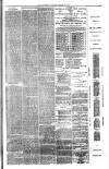 County Advertiser & Herald for Staffordshire and Worcestershire Saturday 27 March 1880 Page 3
