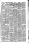 County Advertiser & Herald for Staffordshire and Worcestershire Saturday 18 March 1882 Page 5