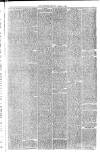 County Advertiser & Herald for Staffordshire and Worcestershire Saturday 20 March 1886 Page 3