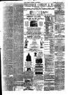 Horsham, Petworth, Midhurst and Steyning Express Tuesday 23 May 1871 Page 4