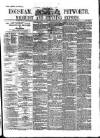 Horsham, Petworth, Midhurst and Steyning Express Tuesday 21 May 1878 Page 1