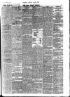 Horsham, Petworth, Midhurst and Steyning Express Tuesday 21 May 1878 Page 3