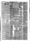 Horsham, Petworth, Midhurst and Steyning Express Tuesday 09 July 1878 Page 3