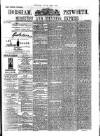 Horsham, Petworth, Midhurst and Steyning Express Tuesday 30 July 1878 Page 1